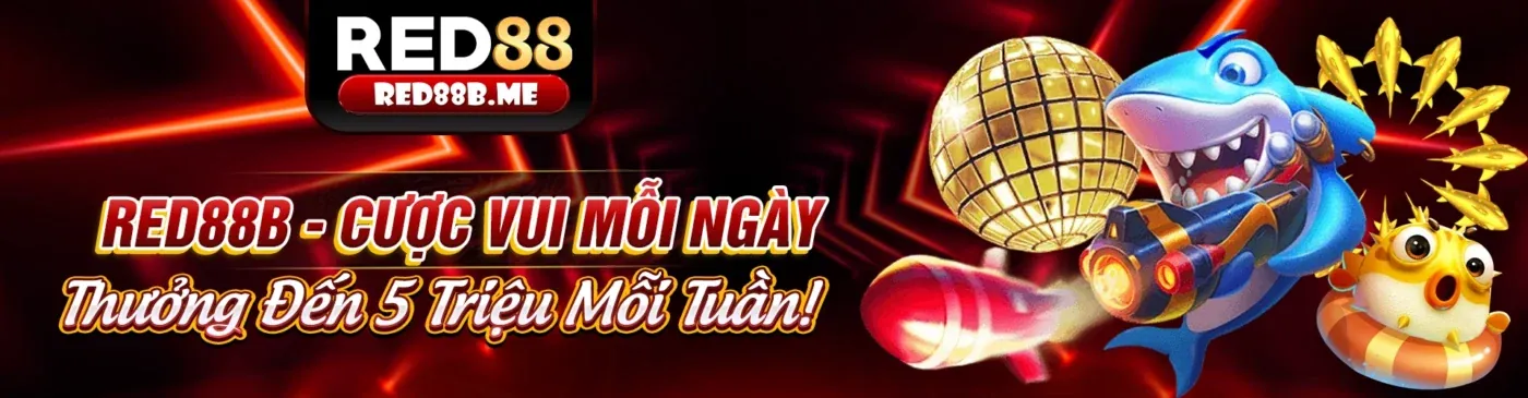 Tin tức Jili App 2026
